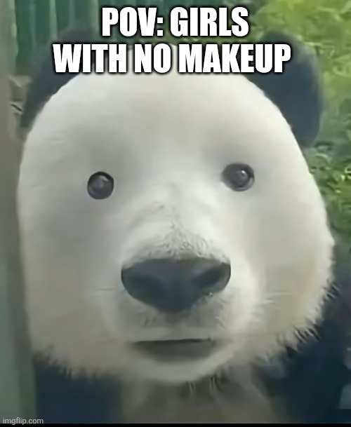 Idk | Pov: girls with no makeup | image tagged in japan | made w/ Imgflip meme maker