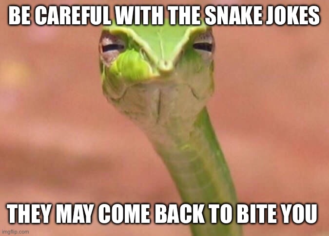 Did I say it loud enough | Be careful with the snake jokes; They may come back to bite you | image tagged in skeptical snake | made w/ Imgflip meme maker