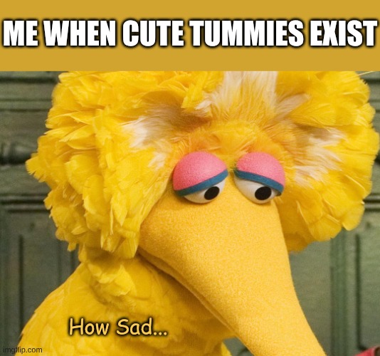 This Stream Is Absolute Cancer | Me When Cute Tummies Exist; How Sad... | image tagged in sad big bird | made w/ Imgflip meme maker