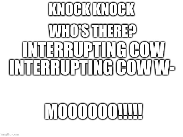 . | Knock knock; Who's there? Interrupting cow; Interrupting cow w-; MOOOOOO!!!!! | image tagged in this is a tag | made w/ Imgflip meme maker