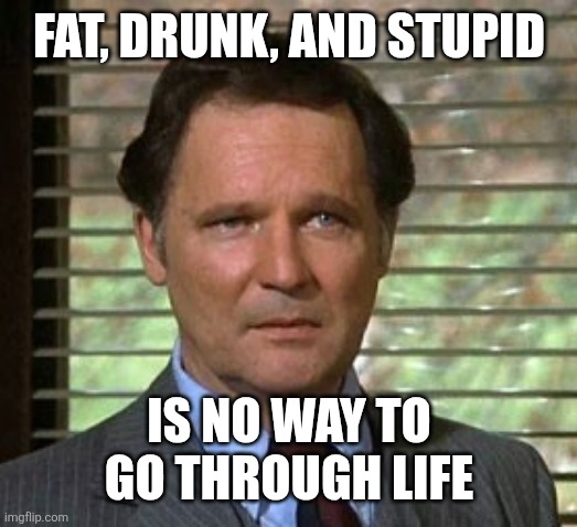 Fat drunk and stupid | Fat, drunk, and stupid; Is no way to go through life | image tagged in fat drunk and stupid | made w/ Imgflip meme maker