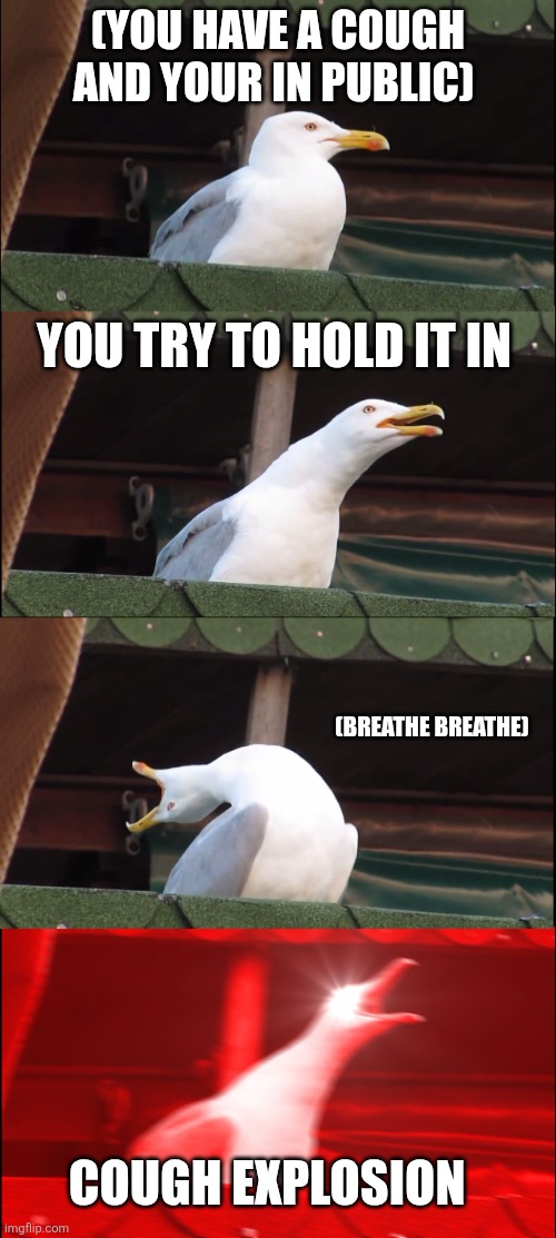 Then your almost choking and no notices | (You have a cough and your in public); You try to hold it in; (Breathe breathe); COUGH explosion | image tagged in memes,inhaling seagull,cough | made w/ Imgflip meme maker