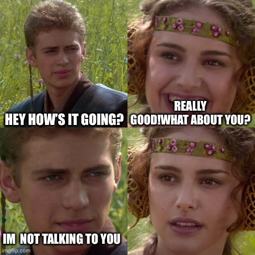 Awkward | Hey how’s it going? Really good!what about you? Im  not talking to you | image tagged in anakin padme 4 panel | made w/ Imgflip meme maker