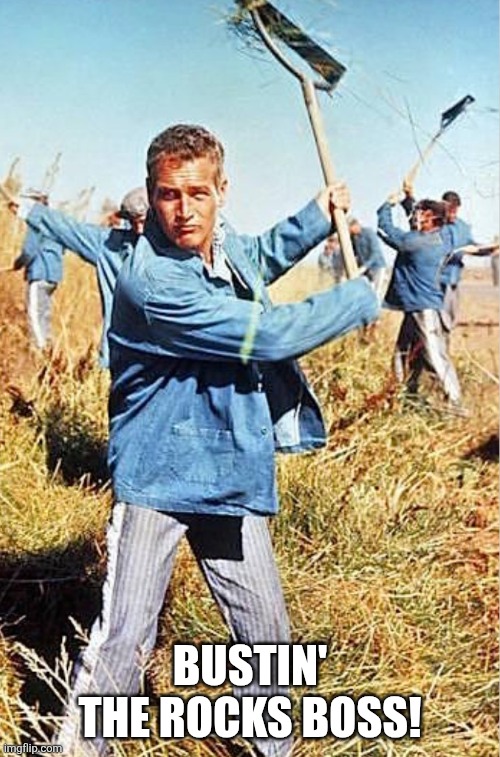 Shakin' the bush Boss | Bustin' the rocks Boss! | image tagged in shakin' the bush boss | made w/ Imgflip meme maker