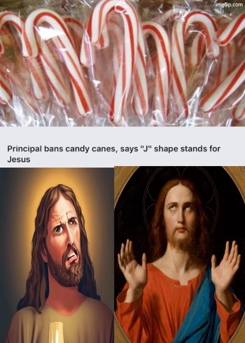 That's Asinine | image tagged in nutcases,libtards,duhhh dumbass,do you are have stupid,political correctness,stupid liberals | made w/ Imgflip meme maker