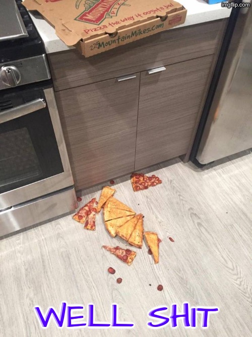 Pizza Fell On Floor | Well shit | image tagged in well shit,pizza,falling,nooooooooo,dammit,life sucks | made w/ Imgflip meme maker