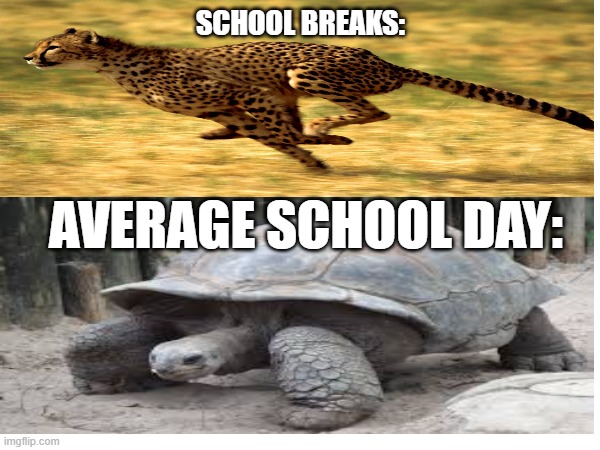 I made this since Spring Break's almost over... | School Breaks:; Average school day: | image tagged in school sucks,i hate school,high school,senior,spring break | made w/ Imgflip meme maker