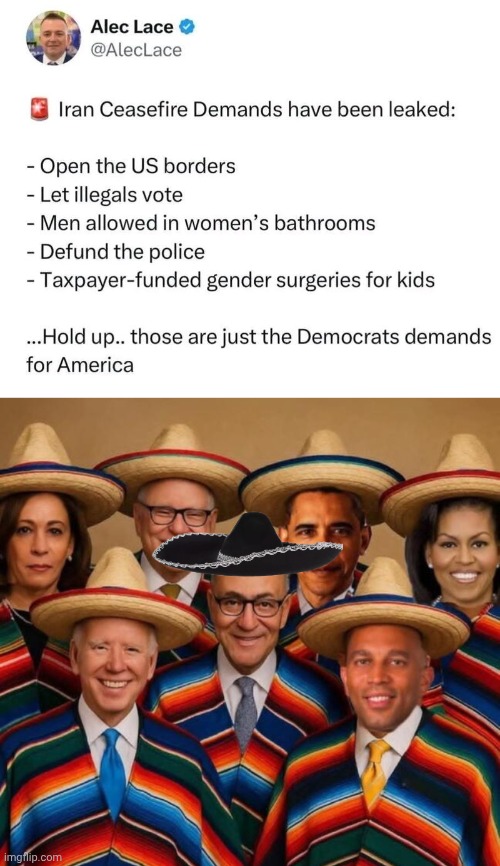 Who made these demands? | image tagged in democrats sombreros,hoax | made w/ Imgflip meme maker