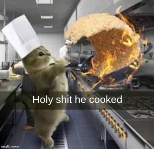 Holy shit he cooked | image tagged in holy shit he cooked | made w/ Imgflip meme maker