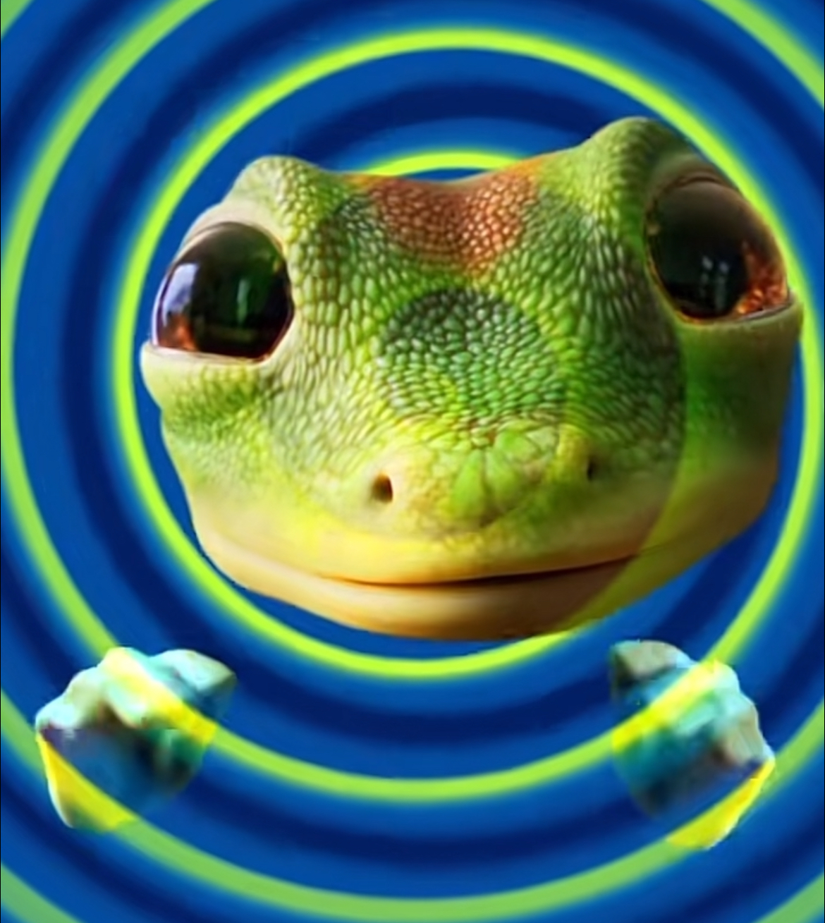 blinker checkpoint Blank Meme Template