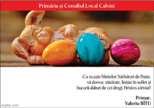 image tagged in gifs | made w/ Imgflip images-to-gif maker