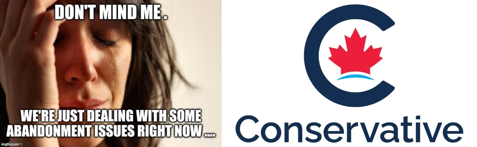 Canadian politics | image tagged in political meme | made w/ Imgflip meme maker