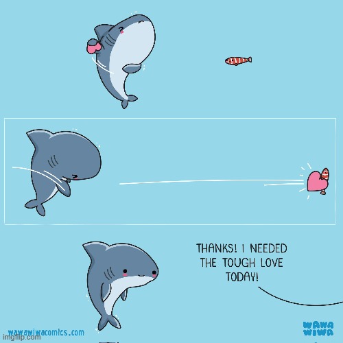 image tagged in shark,fish,heart,throw,love,tough love | made w/ Imgflip meme maker