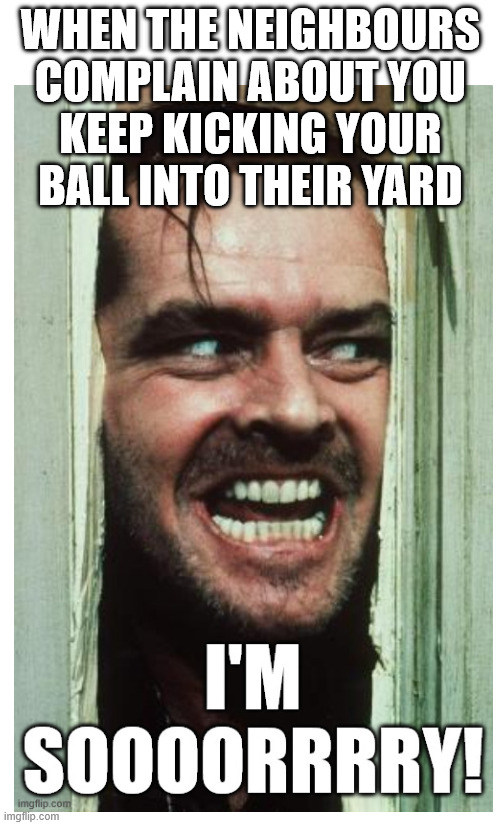 Do you think they'll complain again? | When the neighbours complain about you
keep kicking your
ball into their yard | image tagged in neighbours,ball,yard,scary,here's johnny | made w/ Imgflip meme maker