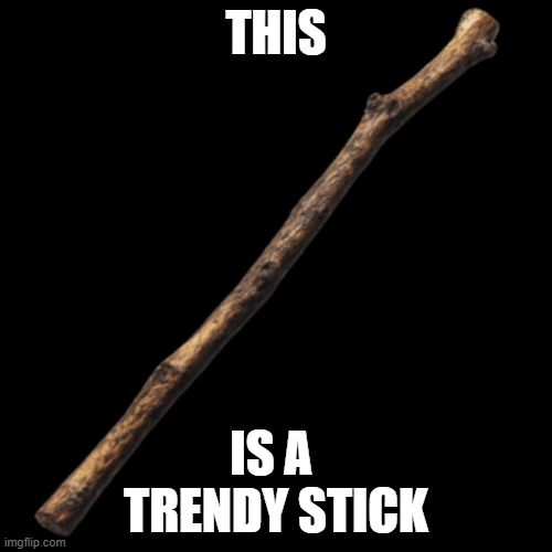 This is A Trendy Stick | This; is a 
trendy stick | image tagged in trendy,stick | made w/ Imgflip meme maker