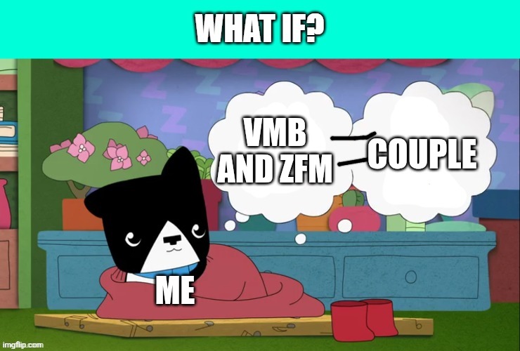 What If (Someone/Me) will creating someone/my series as a pilot? | Couple; Vmb and zfm; Me | image tagged in what if someone/me will creating someone/my series as a pilot | made w/ Imgflip meme maker