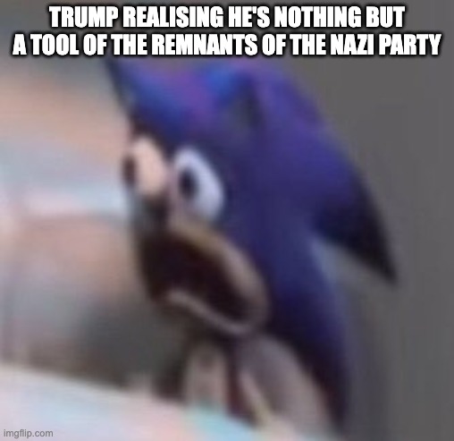 Traumatised Trump | trump realising he's nothing but a tool of the remnants of the nazi party | image tagged in traumatised sonic,trump,nazi,maga,hitler | made w/ Imgflip meme maker