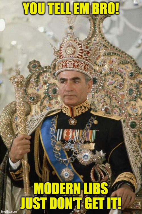 you tell em bro! modern libs just don't get it! | made w/ Imgflip meme maker