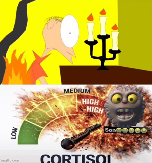 Who laughs at Matthew's clothes on fire | image tagged in who laughs at matthew's clothes on fire | made w/ Imgflip meme maker