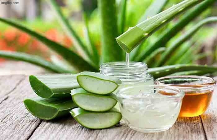 PURE ALOE VERA | image tagged in pure aloe vera | made w/ Imgflip meme maker
