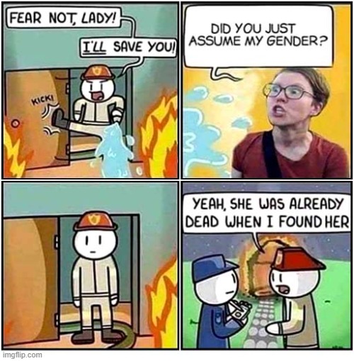 Gender | image tagged in fire,gender,death | made w/ Imgflip meme maker