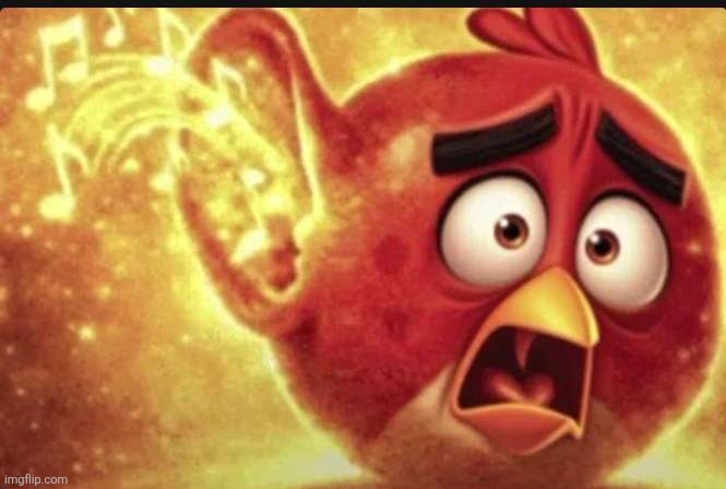 angry bird with ear open shocked | image tagged in angry bird with ear open shocked | made w/ Imgflip meme maker