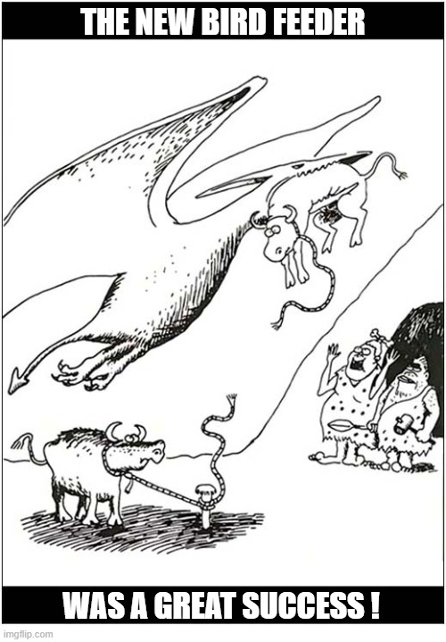 Stone Age Entertainment ! | the new bird feeder; was a great success ! | image tagged in stone age,entertainment,bird feeder | made w/ Imgflip meme maker