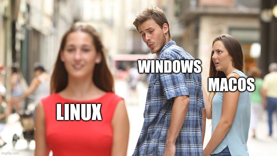 Reasons for choosing an Operating System | Windows; MacOS; Linux | image tagged in 3 people,windows,linux,mac,macos,people | made w/ Imgflip meme maker