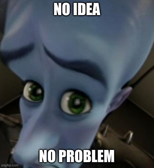 Megamind no bitches | NO idea; no problem | image tagged in megamind no bitches,remix | made w/ Imgflip meme maker