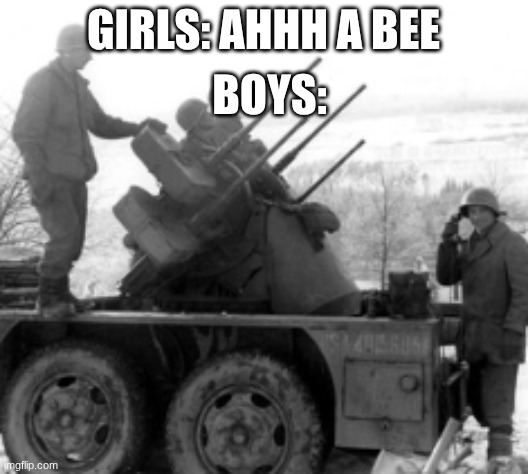 Boys vs girls | BOYS:; Girls: AHHH a bee | image tagged in ww2 | made w/ Imgflip meme maker