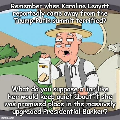 Things to ponder. | Remember when Karoline Leavitt
reportedly came away from the
Trump-Putin summit terrified? What do you suppose a liar like
her would keep quiet about if she
was promised place in the massively
upgraded Presidential Bunker? | image tagged in memes,pepperidge farm remembers,trump,putin,nuclear war,planning | made w/ Imgflip meme maker