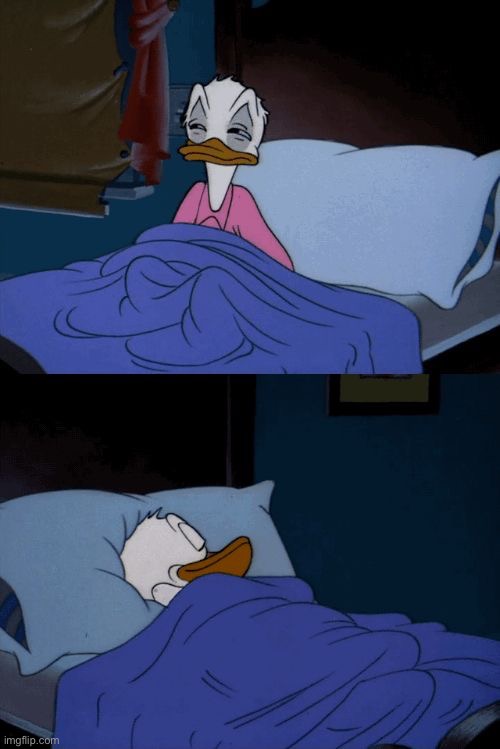 image tagged in sleeping donald duck | made w/ Imgflip meme maker