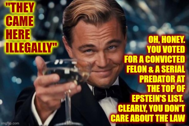 Maga Nazis | "They came here illegally"; Oh, honey.  You voted for a convicted felon & a serial predator at the top of Epstein's list.  Clearly, you don't care about the law | image tagged in memes,leonardo dicaprio cheers,remix,maga nazis,impeach trump,lock him up | made w/ Imgflip meme maker
