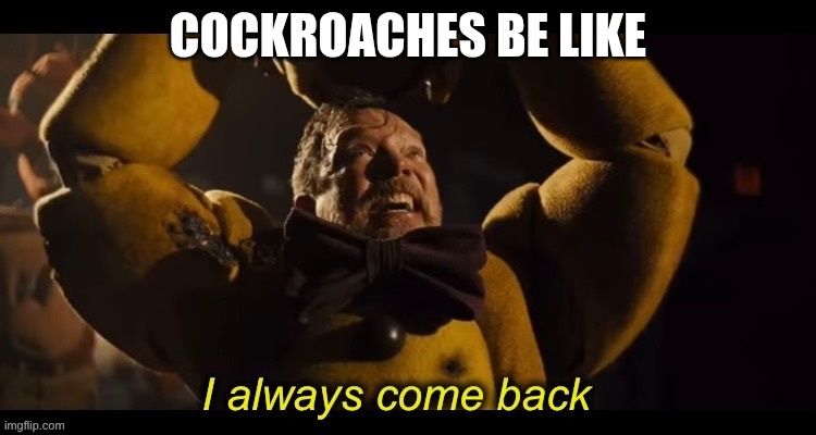 I always come back | cockroaches be like | image tagged in i always come back | made w/ Imgflip meme maker
