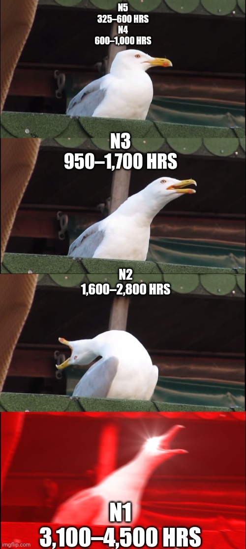 Inhaling Seagull | N5
325–600 hrs
N4
600–1,000 hrs; N3
950–1,700 hrs; N2
1,600–2,800 hrs; N1
3,100–4,500 hrs | image tagged in memes,inhaling seagull | made w/ Imgflip meme maker