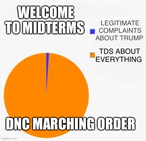 Disregard Democrats past poor performance. | Welcome to midterms; Legitimate complaints about Trump; TDS about everything; DNC Marching order | image tagged in pie chart/ percentage | made w/ Imgflip meme maker