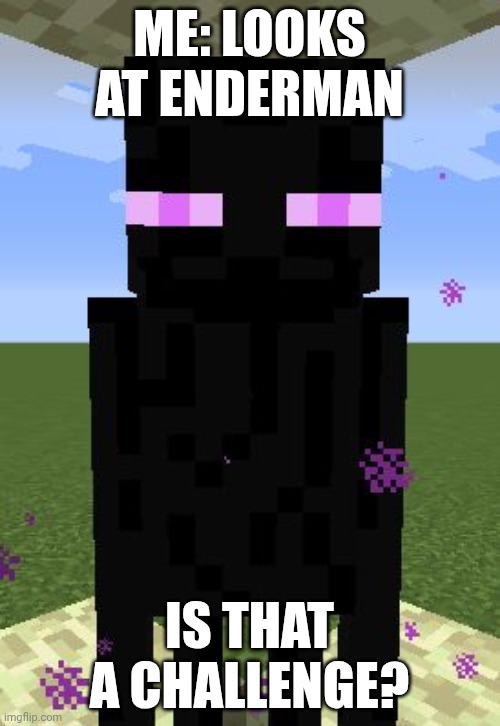. | Me: looks at enderman; Is that a challenge? | image tagged in enderman | made w/ Imgflip meme maker