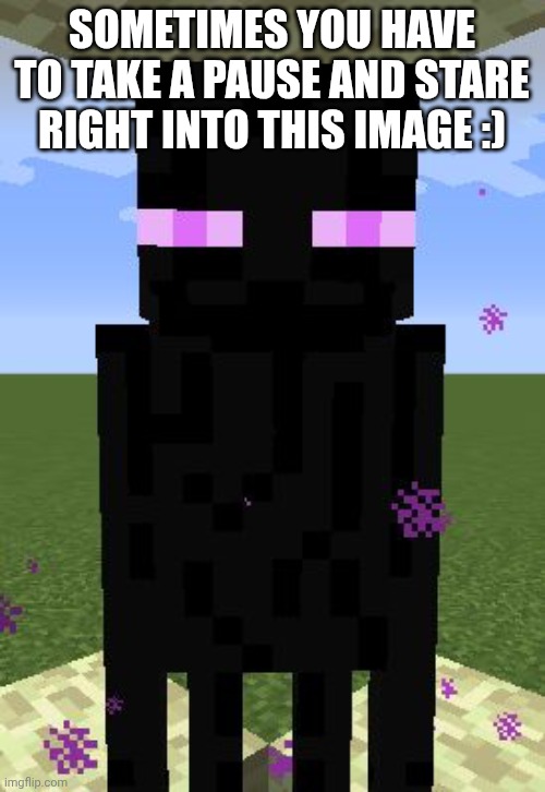 . | Sometimes you have to take a pause and stare right into this image :) | image tagged in enderman | made w/ Imgflip meme maker