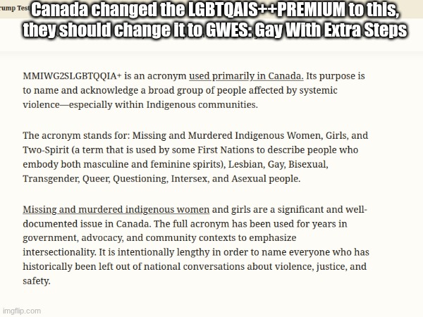 I'll give you the link in the comments. | Canada changed the LGBTQAIS++PREMIUM to this, they should change it to GWES: Gay With Extra Steps | image tagged in canada,lgbtq | made w/ Imgflip meme maker