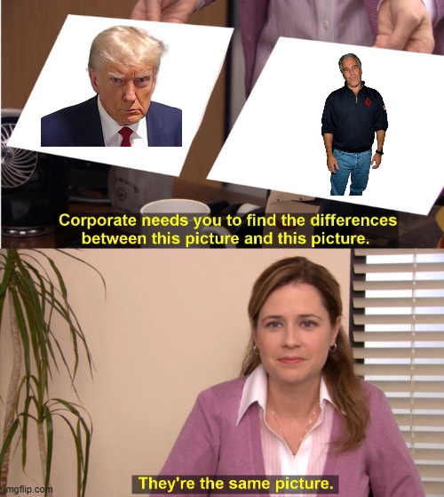 They're The Same Picture Meme | image tagged in memes,they're the same picture | made w/ Imgflip meme maker