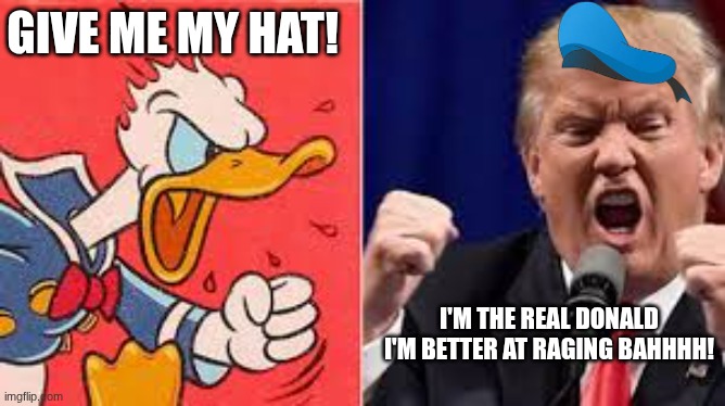 Donald rage off | give me my hat! I'm the real donald I'm better at raging bahhhh! | image tagged in two donald's mad,donald trump,donald duck,donald drumpf,funny | made w/ Imgflip meme maker
