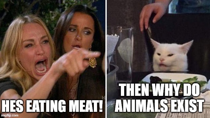 Angry lady cat | hes eating meat! then why do animals exist | image tagged in angry lady cat | made w/ Imgflip meme maker