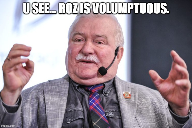 Why roz is baddie | u see... roz is volumptuous. | image tagged in walesa | made w/ Imgflip meme maker
