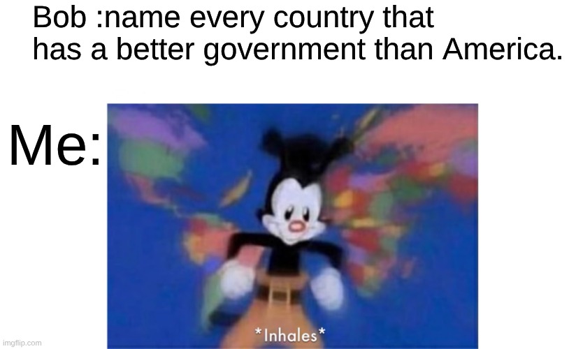 US Government be like | Bob :name every country that has a better government than America. Me: | image tagged in world occupied | made w/ Imgflip meme maker
