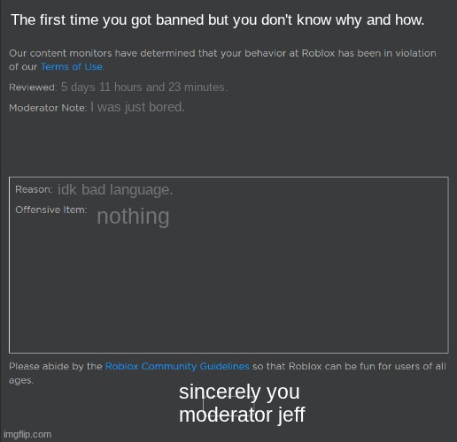 banned | The first time you got banned but you don't know why and how. 5 days 11 hours and 23 minutes. I was just bored. idk bad language. nothing; sincerely you moderator jeff | image tagged in banned for no reason | made w/ Imgflip meme maker