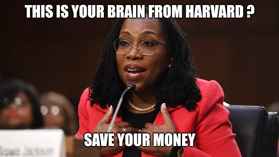 This is your brain from Harvard ? Save your money | image tagged in ketanji brown jackson | made w/ Imgflip meme maker