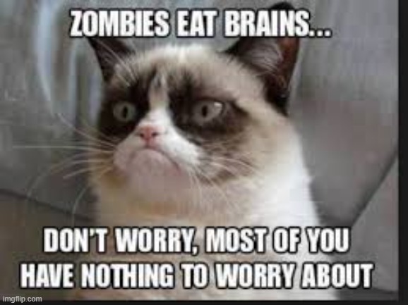 Safe from Zombies | image tagged in repost | made w/ Imgflip meme maker