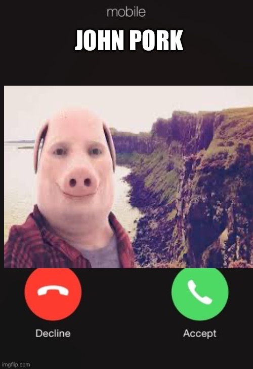 Incoming call | John pork | image tagged in incoming call | made w/ Imgflip meme maker