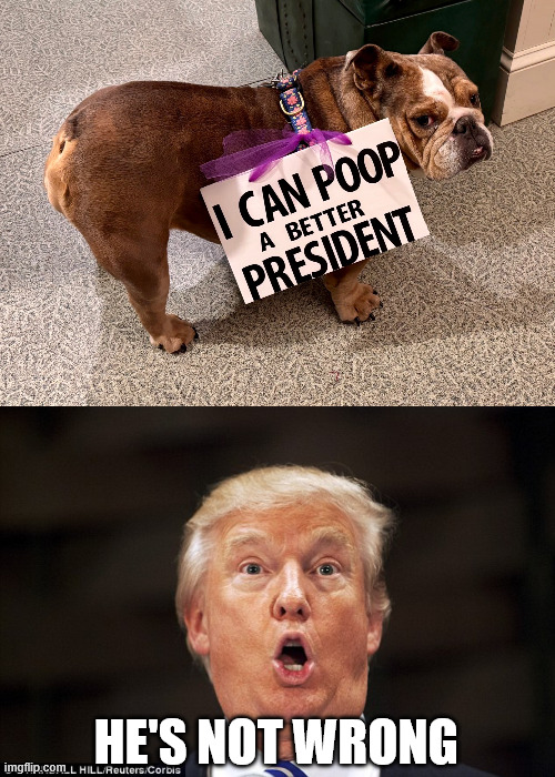 he's not wrong | image tagged in trump stupid face | made w/ Imgflip meme maker