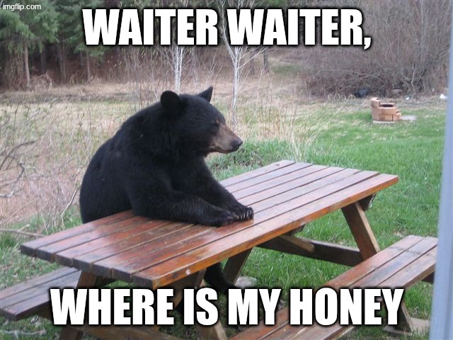Patient Bear | waiter waiter, where is my honey | image tagged in patient bear | made w/ Imgflip meme maker